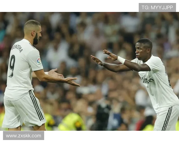 楚阿梅尼力挺维尼修斯为核发声